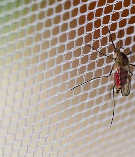 Mosquito Net for Wndows in Velachery